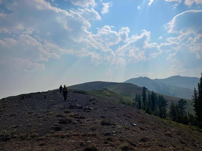 Wildland Fire on Hillside